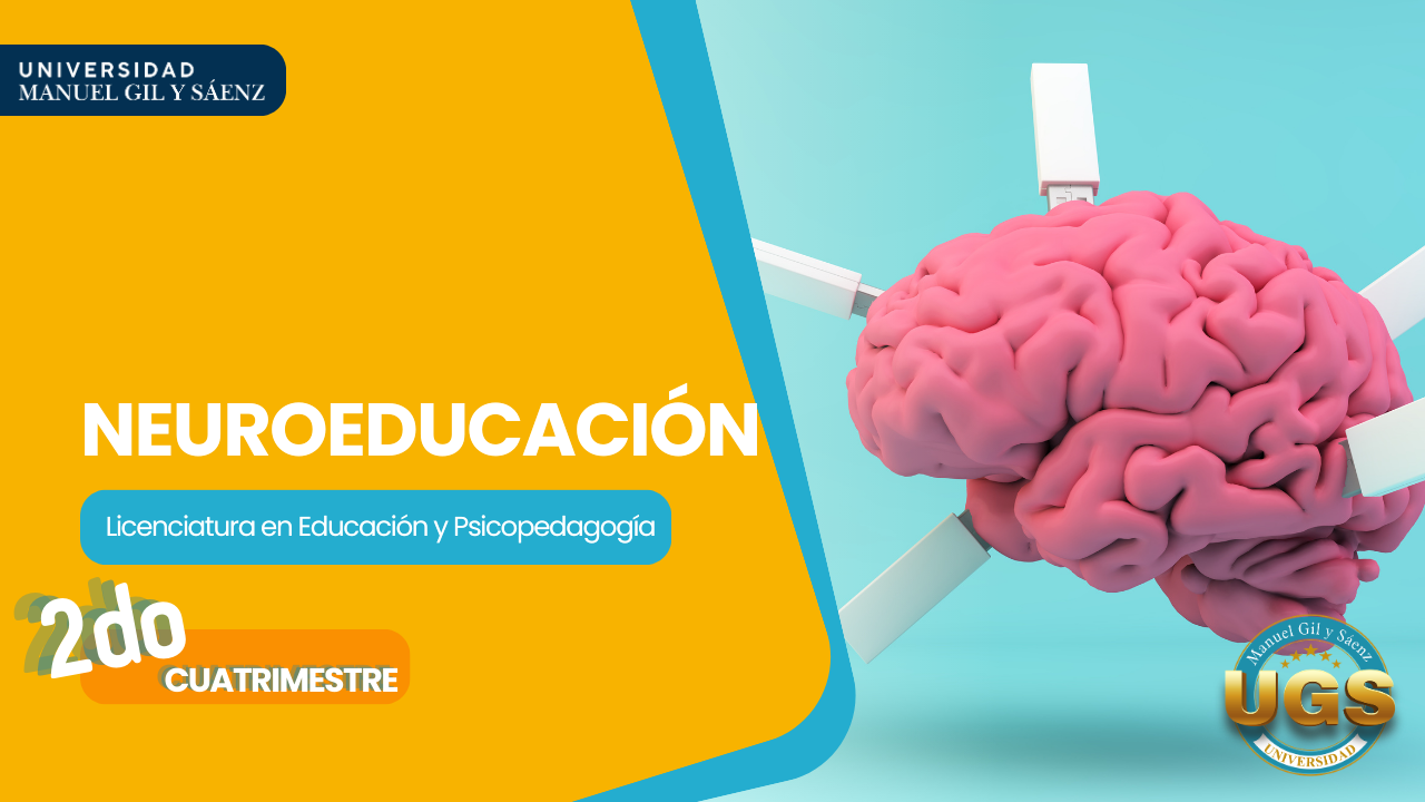 Protegido: NEUROEDUCACIÓN